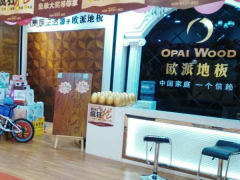 山西陽泉?dú)W派地板專賣店11.18特惠活動