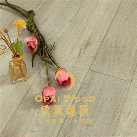 http://guolufengmao.cn/